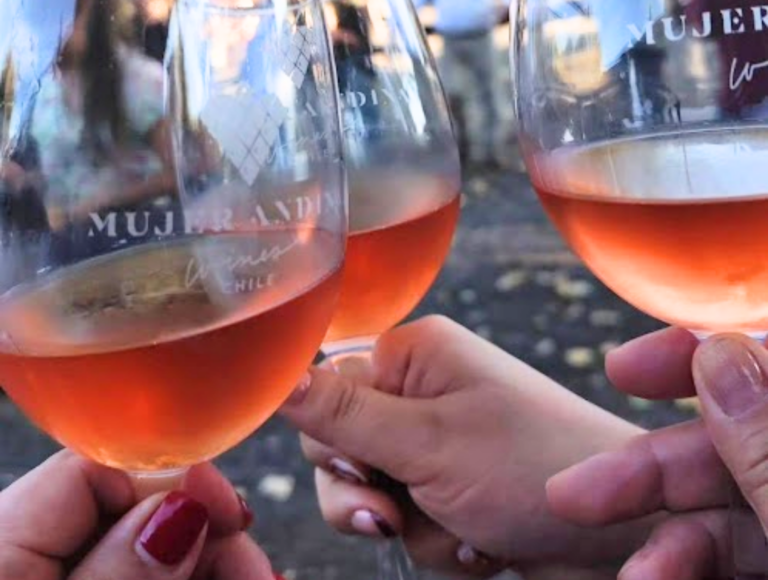 Vinos para celebrar la amistad